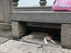-南沙天后宫景区