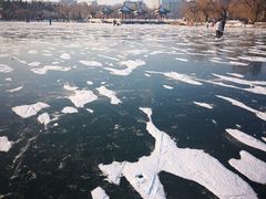 -长春市南湖公园