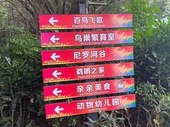 -广州长隆飞鸟乐园