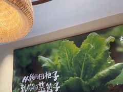 -杨厨的田园饭店(长城路店)