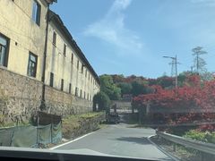 -四明山国家森林公园