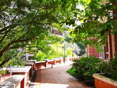-香港大学