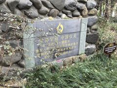 -张家港金凤凰度假村温泉