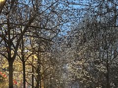 -宜家家居(高新商场店)