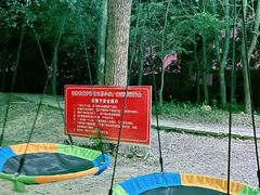 -秀丽东方