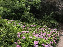 -青岛海滨风景区