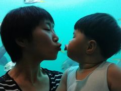-瑞德姆美人鱼海底演艺主题餐厅(亚龙湾店)