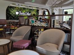-Peet's Coffee皮爷咖啡(大学路店)