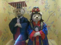 android_upload_pic-济州岛泰迪熊博物馆