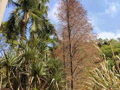 -深圳国际园林花卉博览园