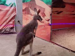 -荆州中山公园动物园