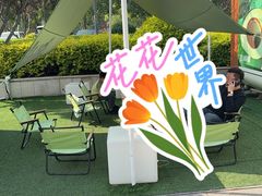 -Salud撒露欧洲冻酸奶(蓝色港湾店)