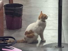 -徐记味府·今晚吃龙虾(万达金街店)