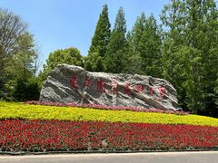 -东平国家森林公园