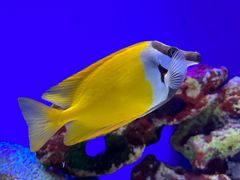 -上海海洋水族馆