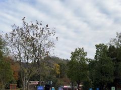 -常德桃花源景区