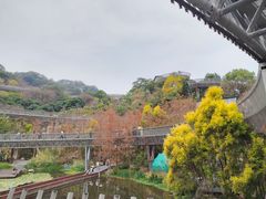 -福道