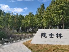 -月湖公园
