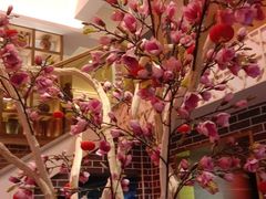 -百年神厨·地道川菜(清江西路店)