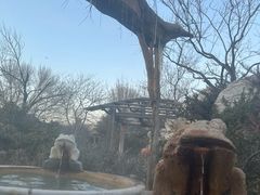 -仁爱团泊湖温泉中心