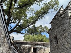 -天一阁博物院
