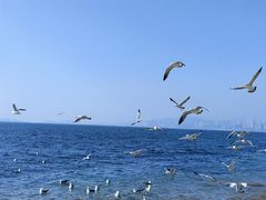-银沙滩浴场