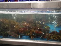 -盒马X会员店(王府井奥莱UP TOWN店)