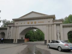 -哈素海
