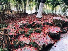 -西湖外事游船(湖滨二公园外事游船码头)