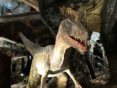 -湖南省地质博物馆