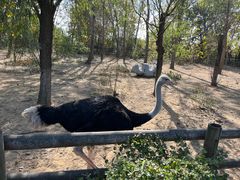 -大连森林动物园