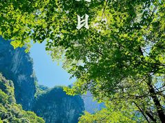 -青峰峡国家森林公园