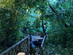 -Sirena海妖日咖夜酒