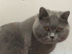 -达爱动物医院·犬猫分区·CT·复杂眼科(远洋山水分院)
