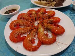 大斑节虾-御唐府海珊瑚主题餐厅