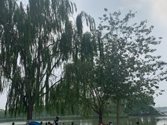 -大兴滨河森林公园