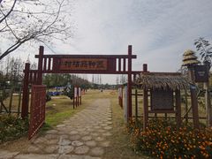 -上海长兴岛郊野公园