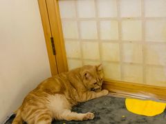 -小时光咖啡馆(开森度假森林店)