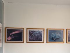 -瑞派福兴宠物医院犬猫全科·骨科·中西医结合(河东店)