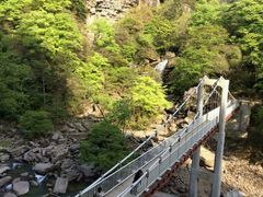 android_upload_pic-黎坪国家森林公园