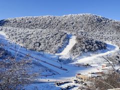 -太子岭滑雪场
