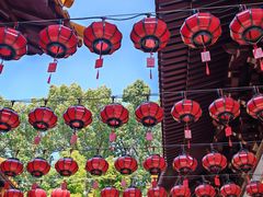 -亭林园-华藏寺