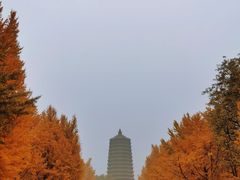 -玲珑塔公园