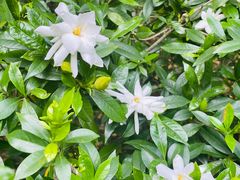 -成都杜甫草堂博物馆