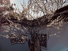 -无锡梅园公园