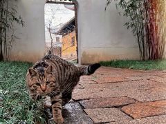 -西园戒幢律寺