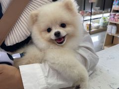 -宠颐生动物医院·小陆分院