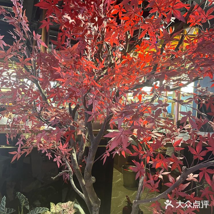 套餐一个人完全吃不完，还是一如既往的好吃，色香味俱全