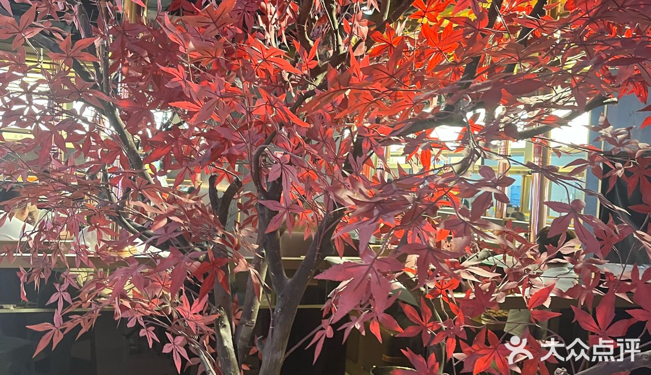 套餐一个人完全吃不完，还是一如既往的好吃，色香味俱全