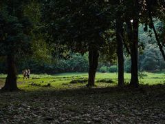 -杭州植物园